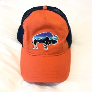 Patagonia Baseball Hat